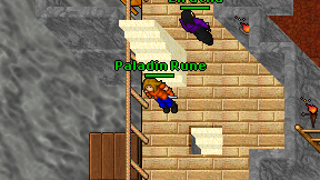 Paladin Rune on screen