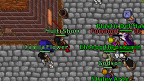 Multi Show on screen
