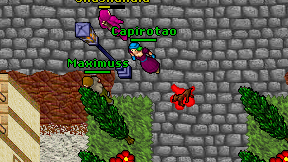Capirotao on screen