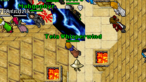 Teia Whisperwind on screen