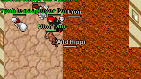 Wild Hippi on screen