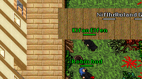 Kifan Elfen on screen