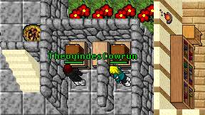 Cowrun on screen