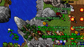 Elding Medon on screen