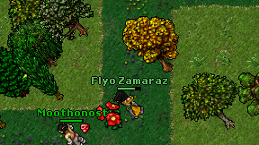 Flyo Zamaraz on screen