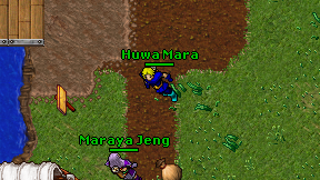 Huwa Mara on screen