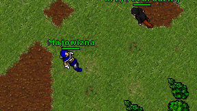 Majowizna on screen