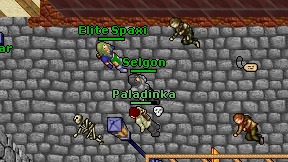 Selgon on screen