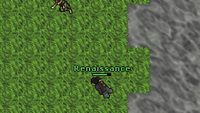 Renaissance on screen
