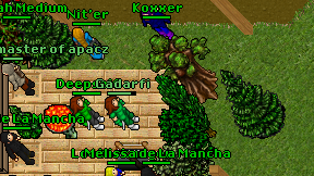 Koxxer on screen