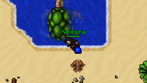 Nedgra on screen