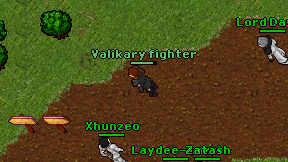 Valikary fighter on screen