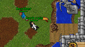 Bark rain on screen