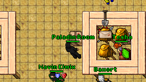 Paladin Room on screen
