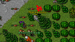 Marsyliusz on screen