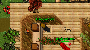 Hasaderi on screen