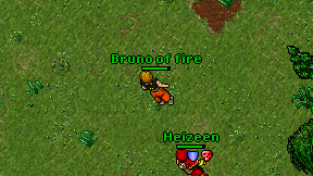 Bruno of fire on screen