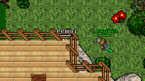 Pemaj on screen