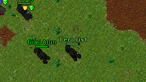 Terorist on screen