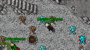 Knight Rapid on screen