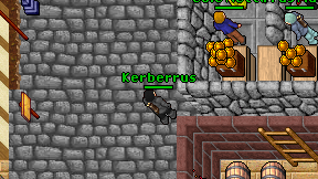 Kerberrus on screen