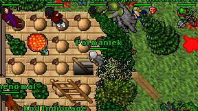 Pal maniek on screen