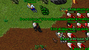Destoires'Strong on screen