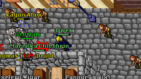 Dwek on screen