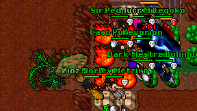 Dustslayer on screen