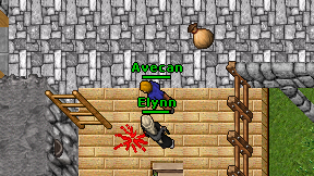 Avecan on screen