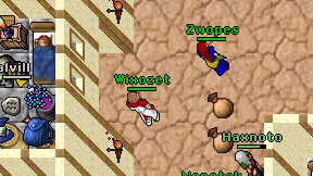 Wixozet on screen