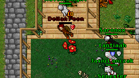 Dellan Feon on screen