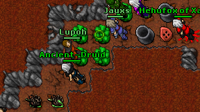 Ancient-Druid on screen