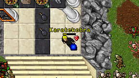 Karatekobra on screen