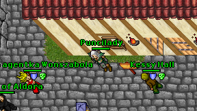 Puncilady on screen