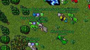 Lifen on screen