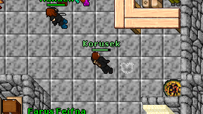 Korusek on screen
