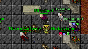 Elite Knot on screen