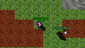 Bunitaa on screen