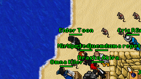 Elder Toon on screen