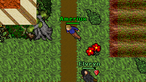 Ameriux on screen