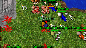 Miraydin on screen