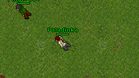 Paladinka on screen