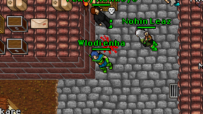 Wlodi enha on screen