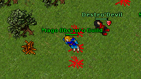 Mago Obscuro Guild on screen