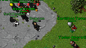 Dumcan on screen