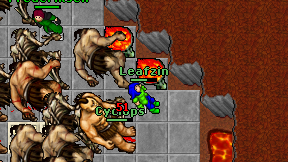 Leafzin on screen