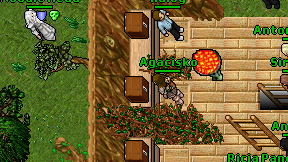 Agacisko on screen