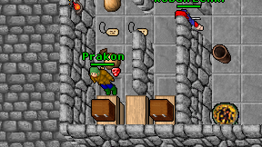 Prakon on screen