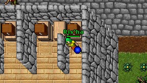 Ris'ha on screen